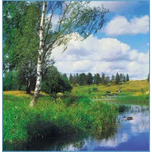 Фотообои ТУЛА Русская природа 196/201 6 листов