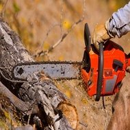 Бензопилы, электропилы