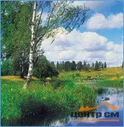Фотообои ТУЛА Русская природа 196/201 6 листов