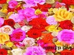 Клеенка ПВХ FLORISTA на нетканой основе с печатным рисунком 1,4х20м 250-01