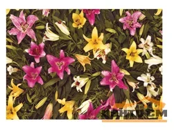 Клеенка ПВХ FLORISTA на нетканой основе с печатным рисунком 1,4х20м 018-01