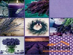 Клеенка ПВХ FLORISTA на нетканой основе с печатным рисунком 1,4х20м 309-00