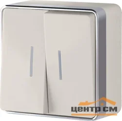 Выключатель двухклавишный ОП Werkel Gallant, с подсветкой, слоновая кость WL15-03-03, W5020103