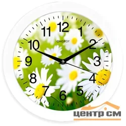 Часы настенные кварцевые ENERGY ЕС-98 ромашки