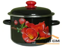 Кастрюля Appetite Apple 1MD181P эмаль 3л