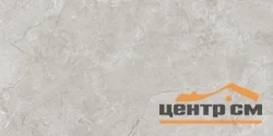 Керамогранит LAPARET Плуто Сильвер светло-серый матовый 59,50x119,10 арт. SG50005220R
