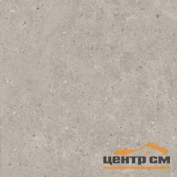 Керамогранит KERAMA MARAZZI Риккарди серый светлый матовый обрезной 60x60мм арт.SG653720R