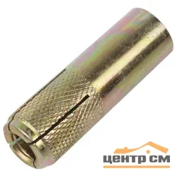 Анкер забивной М12 сталь (уп 5шт) пакет