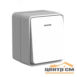 Выключатель одноклавишный ОП AtlasDesign PROFI IP54 10АX с подсветкой серый SE ATN543013