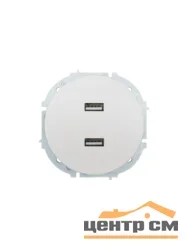 Розетка USB 2-местная СП Lezard OSEN белая искра матовая